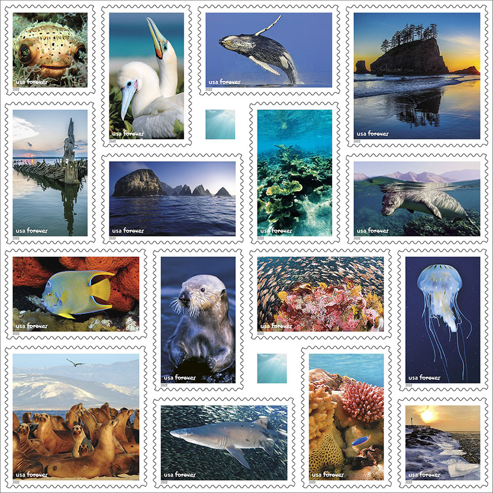  Images from the 16 Forever stamps. 