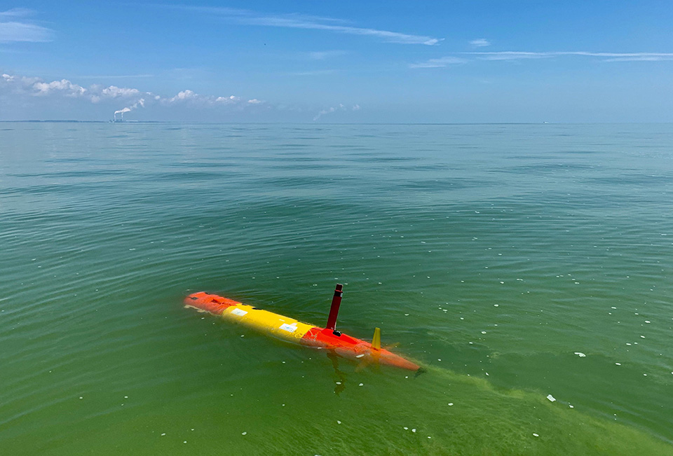 A glider along the surface of blue-green waters.