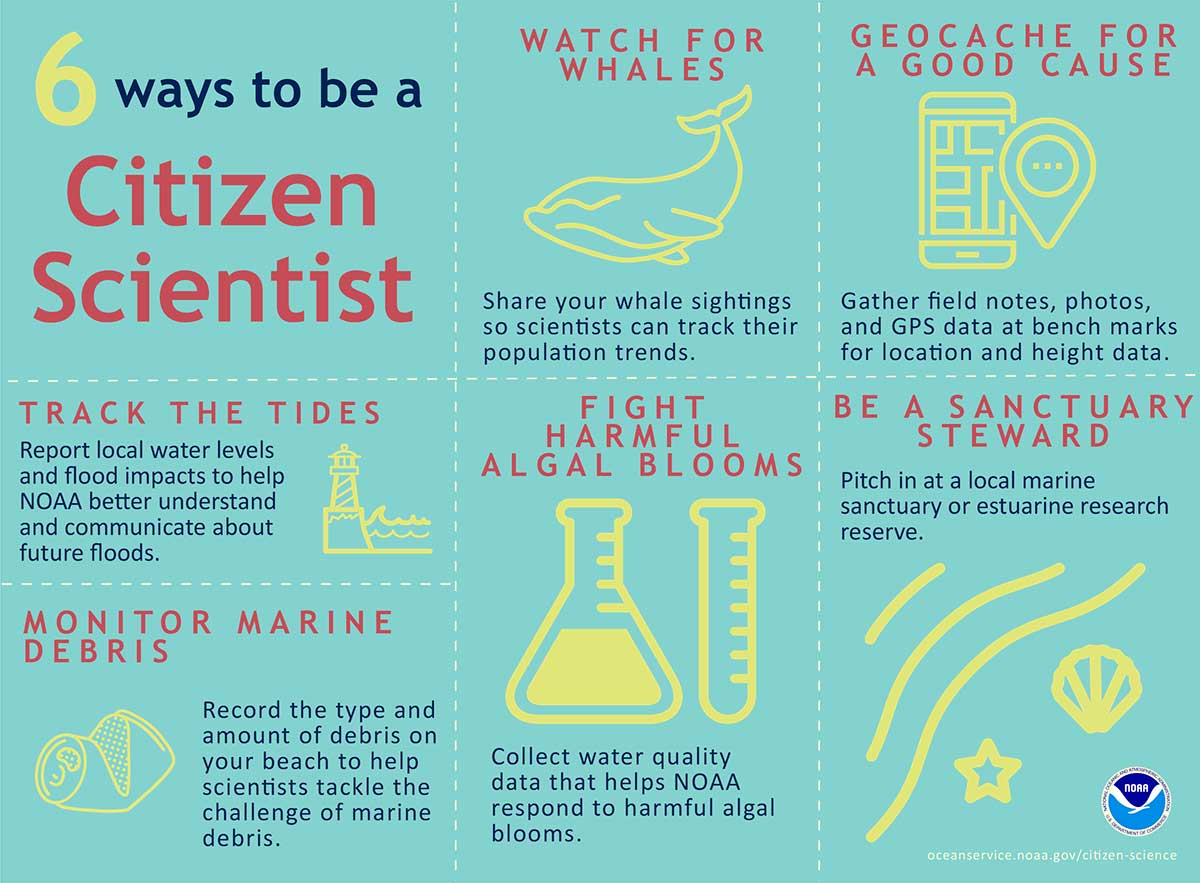 NOAA citizen science infographic