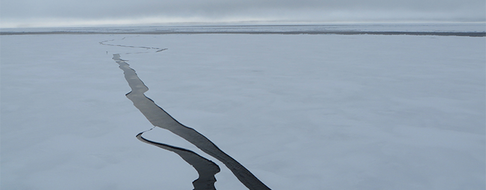 Navigating arctic ice.