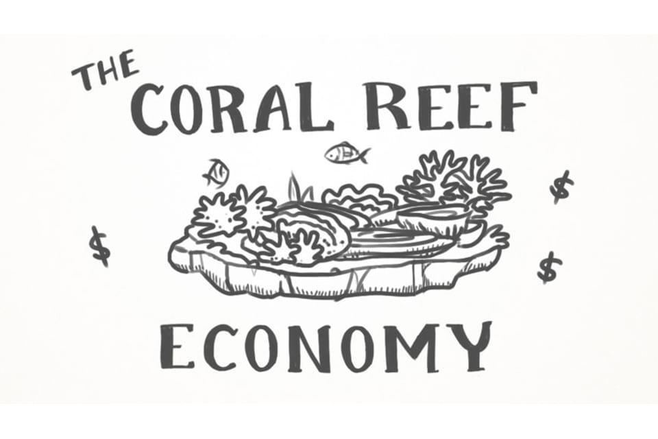 a drawing for a video poster of 'The Coral Reef Economy' short video