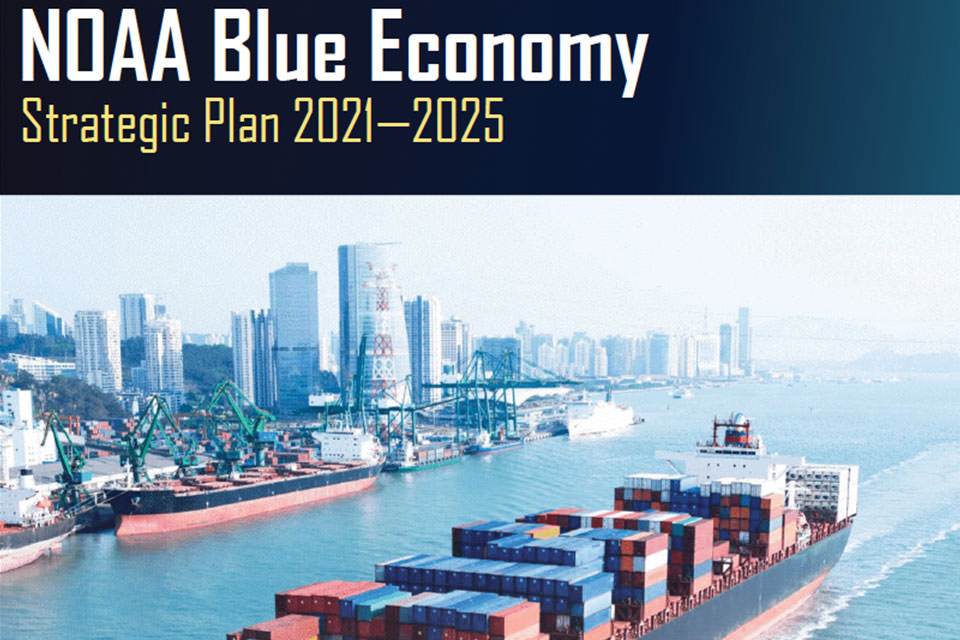 cover shot of blue economy strategic plan