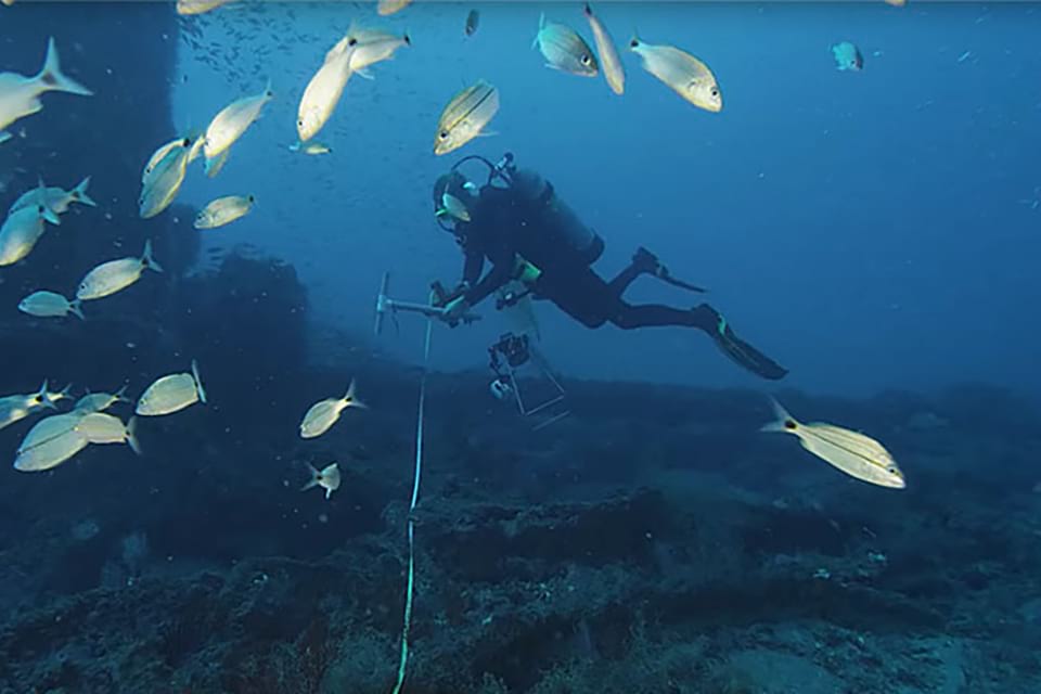 An image of a scuba diver surrounded by fish