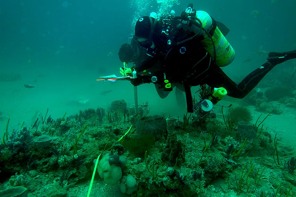 A NOAA science diver conducts a habitat survey