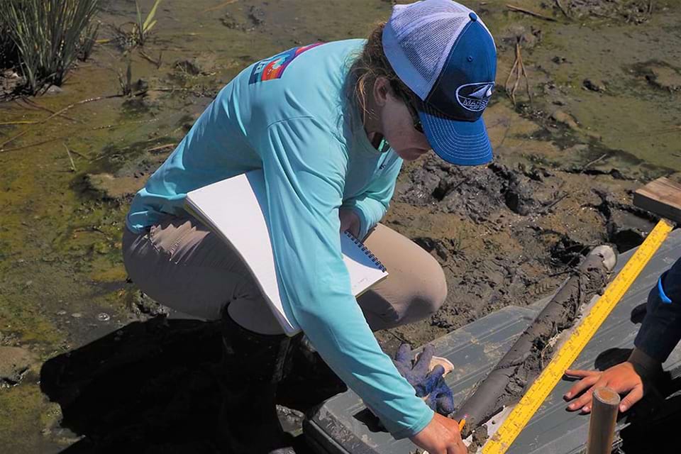 Jenny Davis (NCCOS) inspects a peat core from Swan Island (Chesapeake Bay) that will be analyzed for carbon content prior to and after restoration with dredged sediment placement. Credit: NOAA.