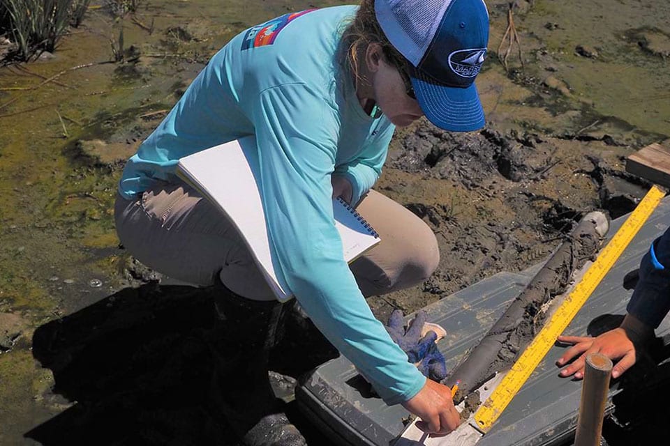 Jenny Davis (NCCOS) inspects a peat core from Swan Island (Chesapeake Bay) that will be analyzed for carbon content prior to and after restoration with dredged sediment placement. Credit: NOAA. 