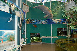 environmental learning center at Rookery Bay National Estuarine Research Reserve