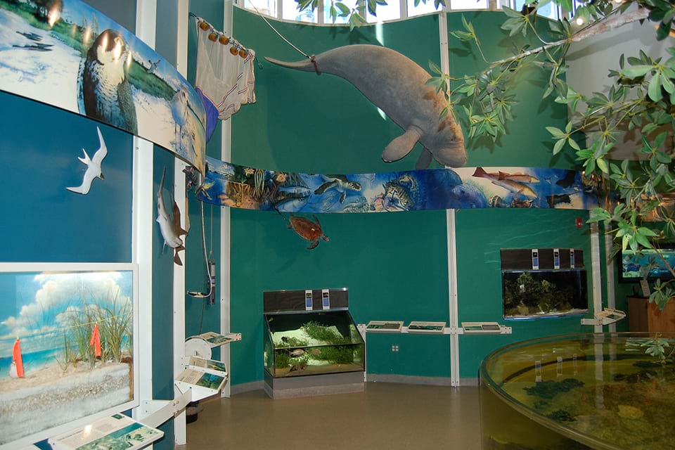  the environmental learning center at Rookery Bay National Estuarine Research Reserve