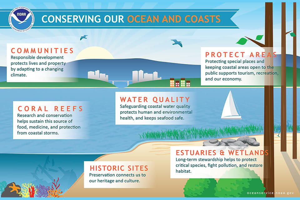 An infographic on conserving our ocean and coasts
