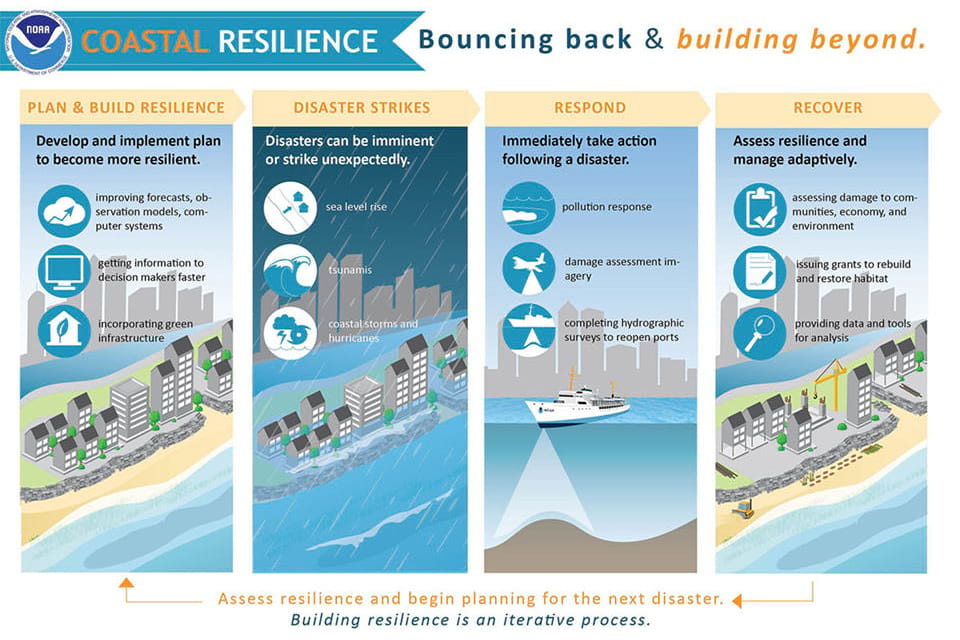 An infographic about building coastal resilience