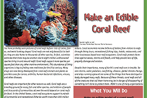 Make An Edible Coral Reef