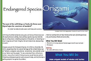 Endangered Species Origami