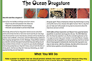 The Ocean Drugstore