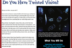 Do You Have Twisted Vision?
