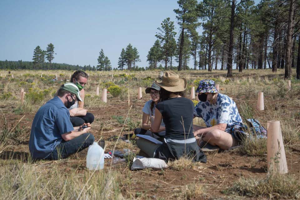 Students in the Soil Sampling team taking soil chemistry and pH measurements at the planting site. Photo credit: John Fegyveresi
