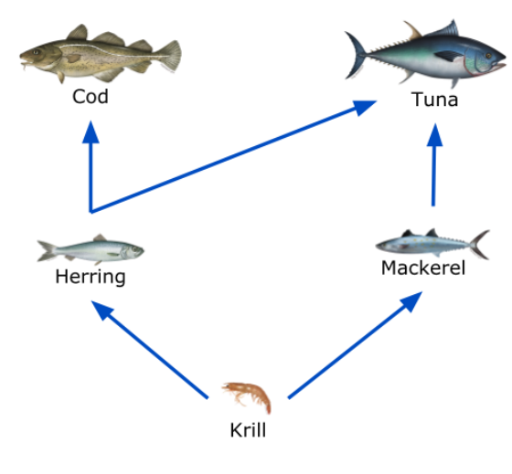 Figure 10: A Slightly More Complex Partial Food Web