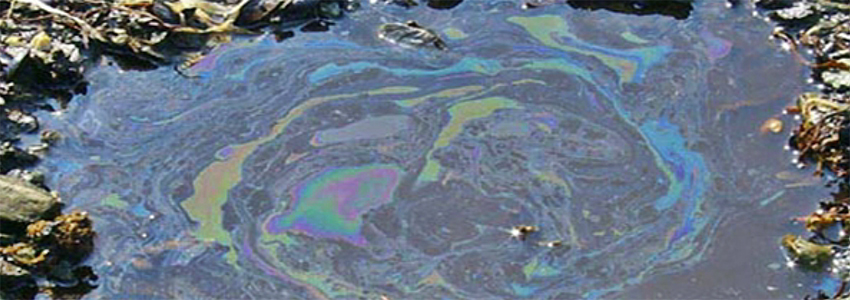 a photo of polluted water