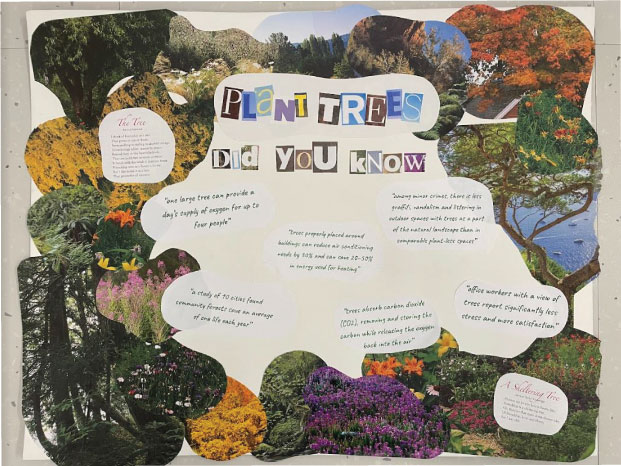 Educational poster that the Palisades High School students researched and designed to educate about the importance of trees in helping sequester carbon, among other benefits.