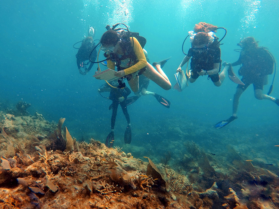 Jaya, a 7th grader, collects data on the health of outplanted staghorn corals as part of the Coralition citizen science project.