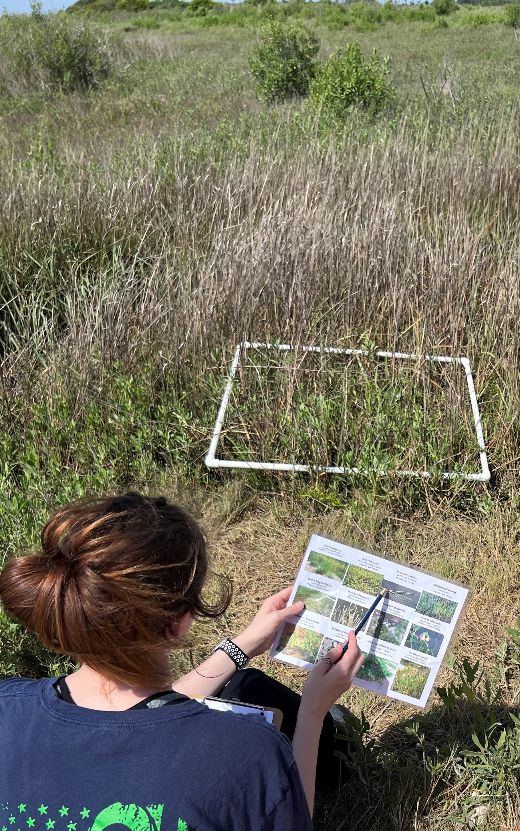 Student identifying wetland plants using a quadrat during the wetland ecology activity at the field experience. 
