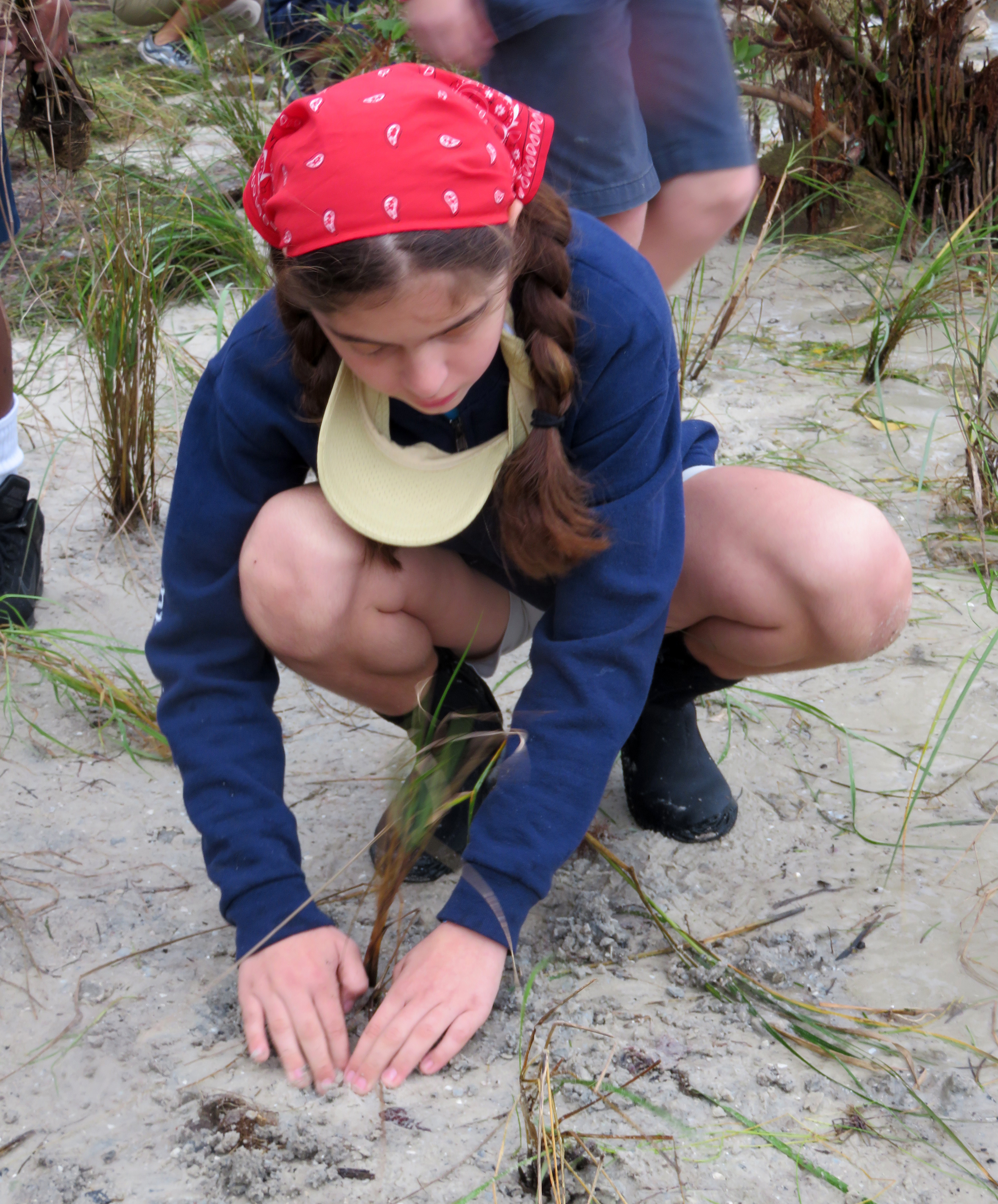 Students restore vegetation in a Florida coastal wetland.