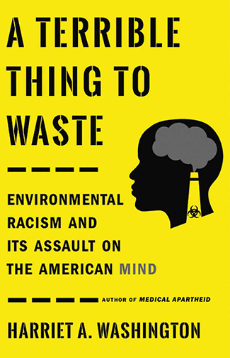 Book cover for A Terrible Thing to Waste book