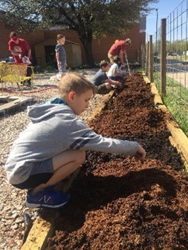 Students plant a Three Sisters garden they designed and increase the school garden size to 500 ft2