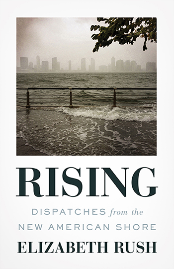 Book cover for  Rising: Dispatches from the New American Shore by Elizabeth Rush