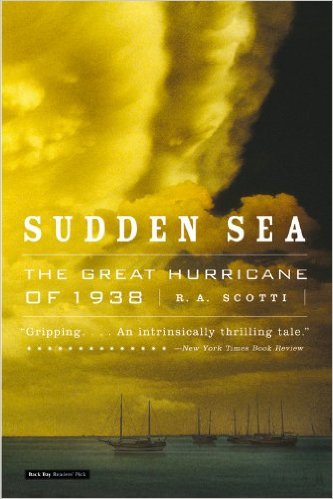 Sudden Sea book cover