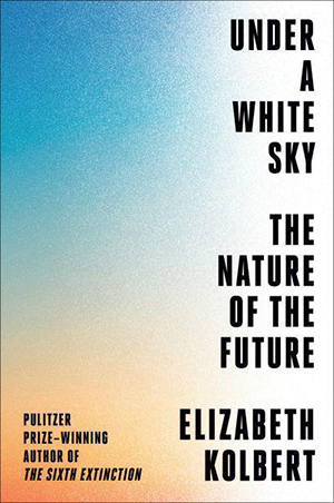 Book cover for Under a White Sky
