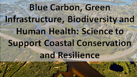Blue Carbon, Green Infrastructure, and Nature-Human Health Connections