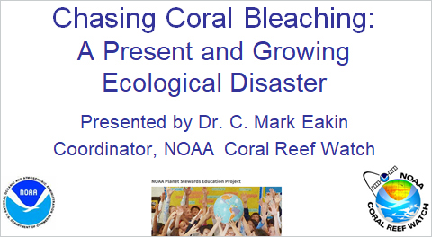 Chasing Coral Bleaching: A Present and Growing Ecological Disaster