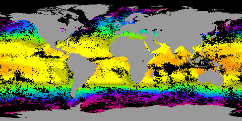animation of sea surface temperature