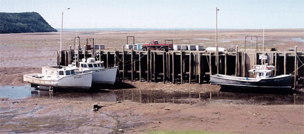 The differences between high and low tides in the Bay of Fundy.
