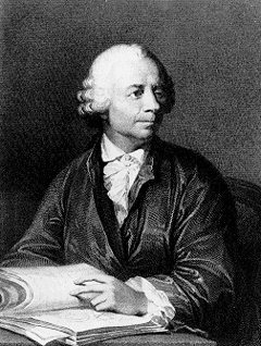 Leonhard Euler (1707-1783) was the first mathematician to describe the speed and direction of a liquid's flow as it passes a single point in space.