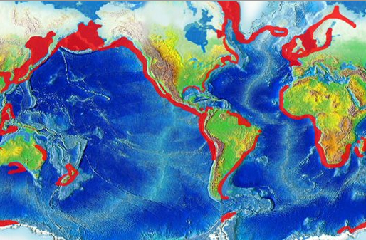 Coastal upwelling areas across the globe.