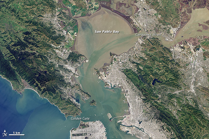  The San Francisco Bay in California is an example of a tectonic estuary. (Credit: NASA)