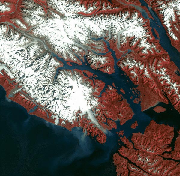 DThis satellite image of Glacier Bay Alaska shows many characteristic long narrow fjords that have been carved out of the surrounding terrain by advancing glaciers.