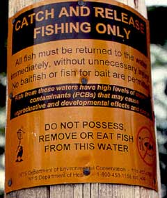 warning sign not to eat fish do to toxic contamination
