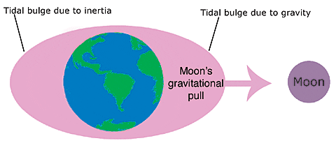 Diagram of tidal bulges
