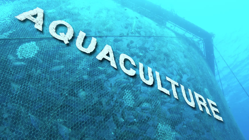 RÃ©sultat de recherche d'images pour "aquaculture"