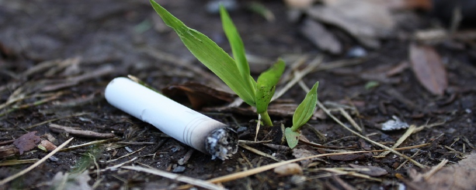 Cigarette found along East-West Highway, Silver Spring, MD.