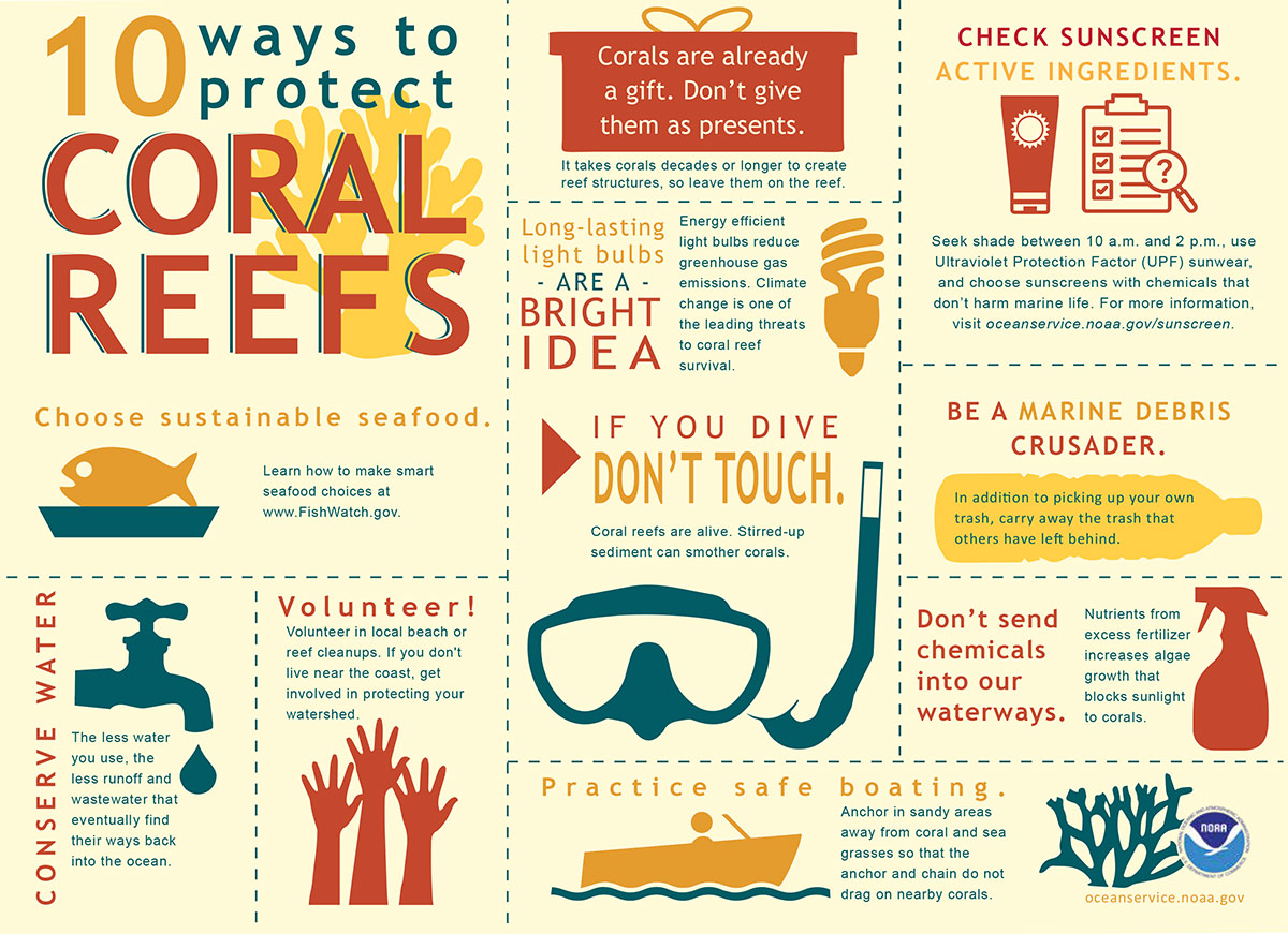 Things you can do to protect coral reefs infographic.