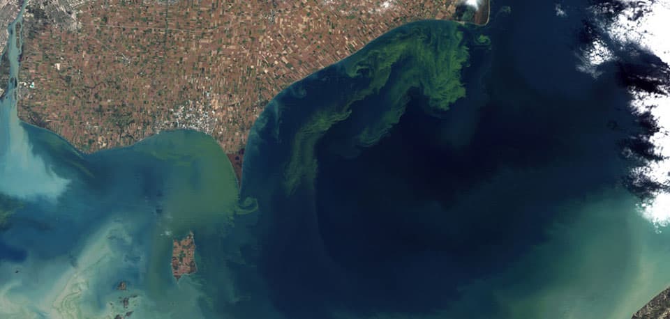 a NASA satellite image showing a harmful algal bloom in Lake Erie