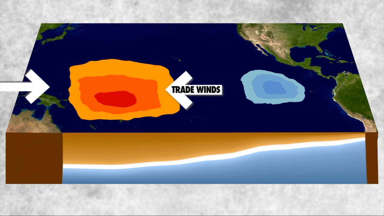 What are El Nino and La Nina?