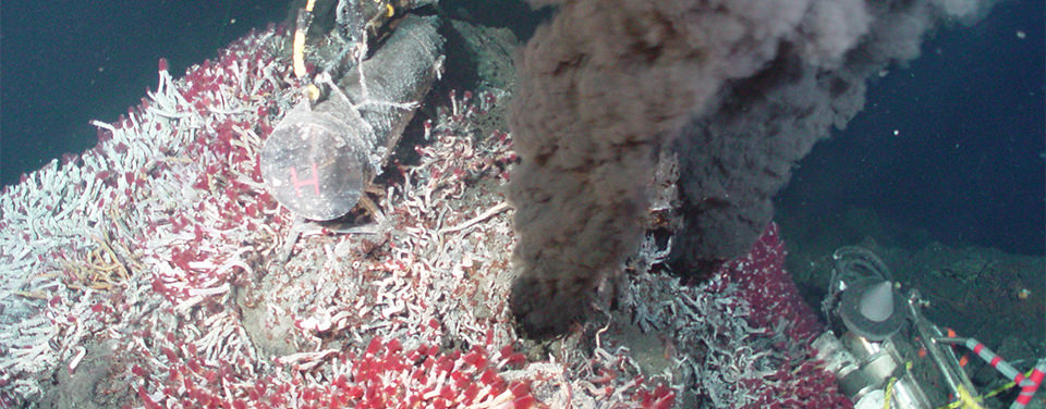 Extreme Microbes from Hydrothermal Vents