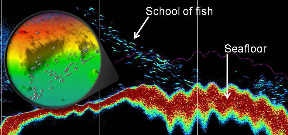 fish sonar montage
