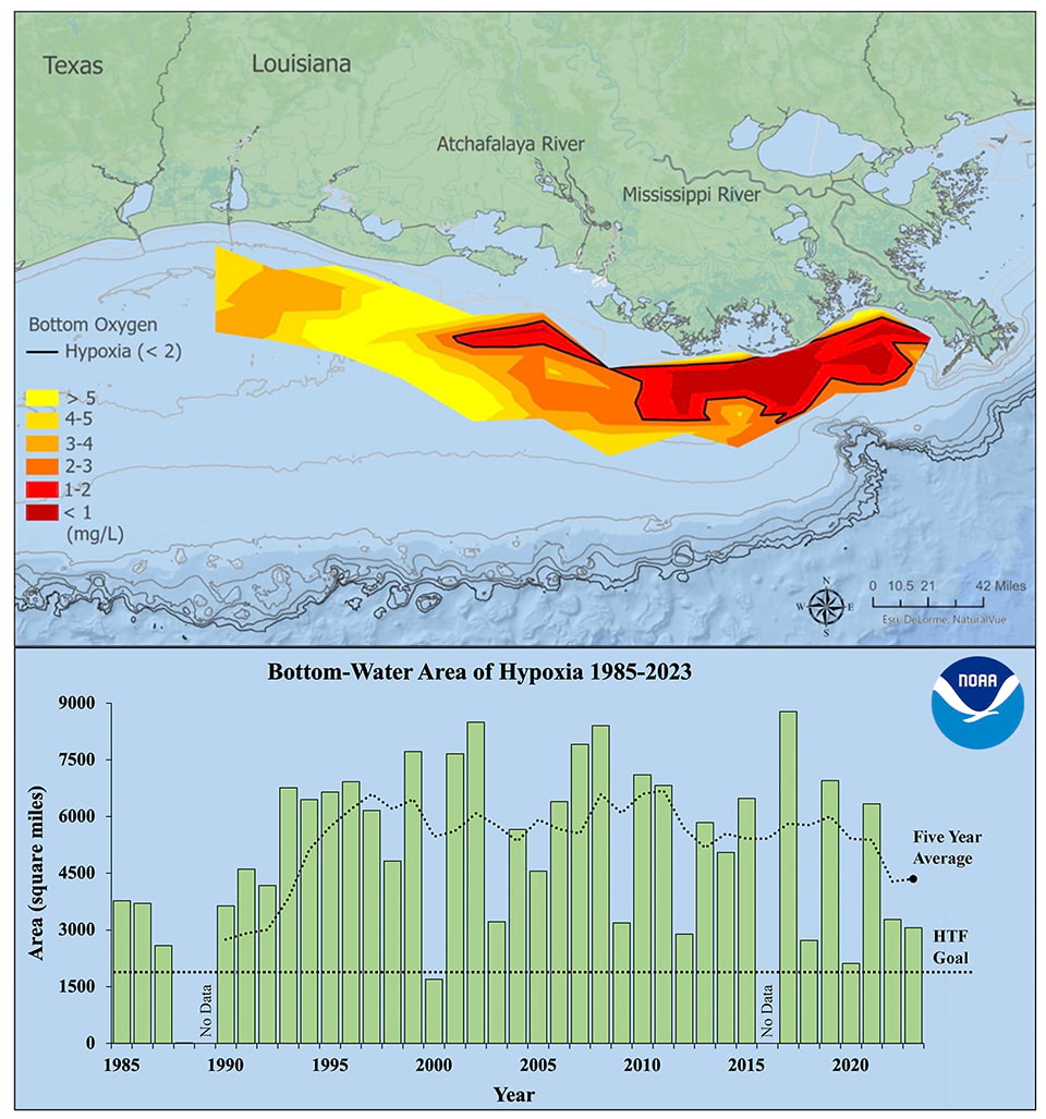 A graphic that shows 2023 hypoxic zone in the Gulf of Mexico