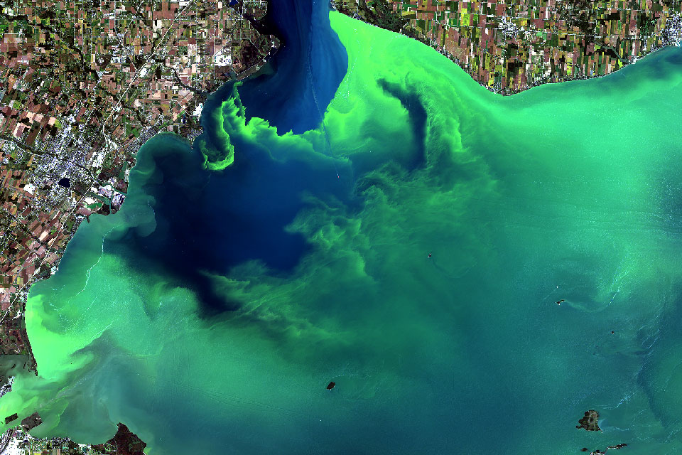 A harmful algal bloom outbreak on Lake Erie viewed from space