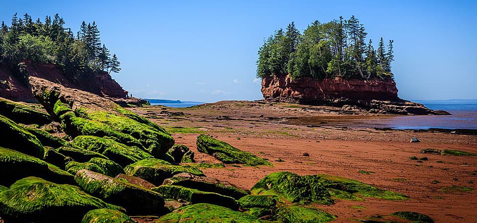Hopewell Rocks, NB, in the Bay of Fundy